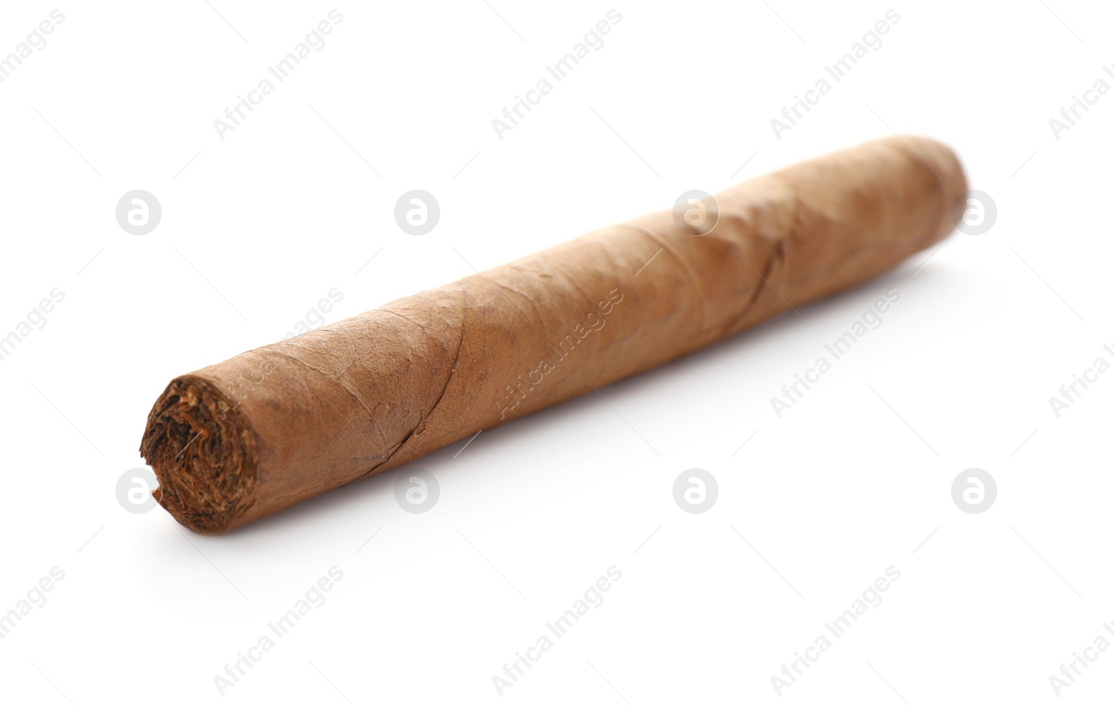 Photo of Cigar wrapped in tobacco leaf isolated on white