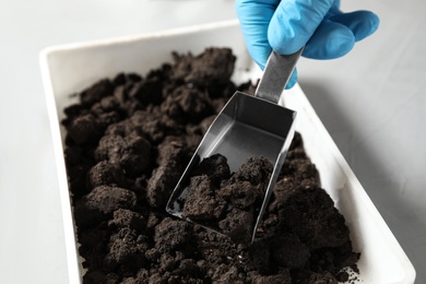 Scientist taking soil sample from container, closeup. Laboratory research