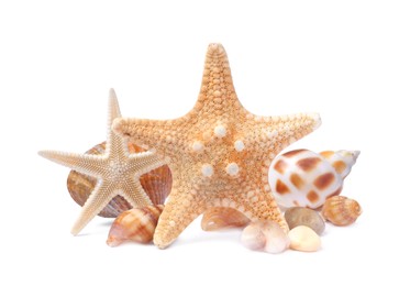 Photo of Beautiful sea stars and seashells on white background