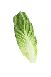 Fresh leaf of green romaine lettuce isolated on white