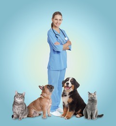Image of Collage with photos of veterinarian doc and pets on light blue background