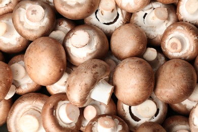 Photo of Fresh champignon mushrooms as background, top view