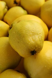 Delicious ripe quinces with water drops as background, closeup