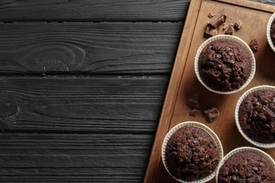 Photo of Delicious chocolate muffins on black wooden table, top view. Space for text