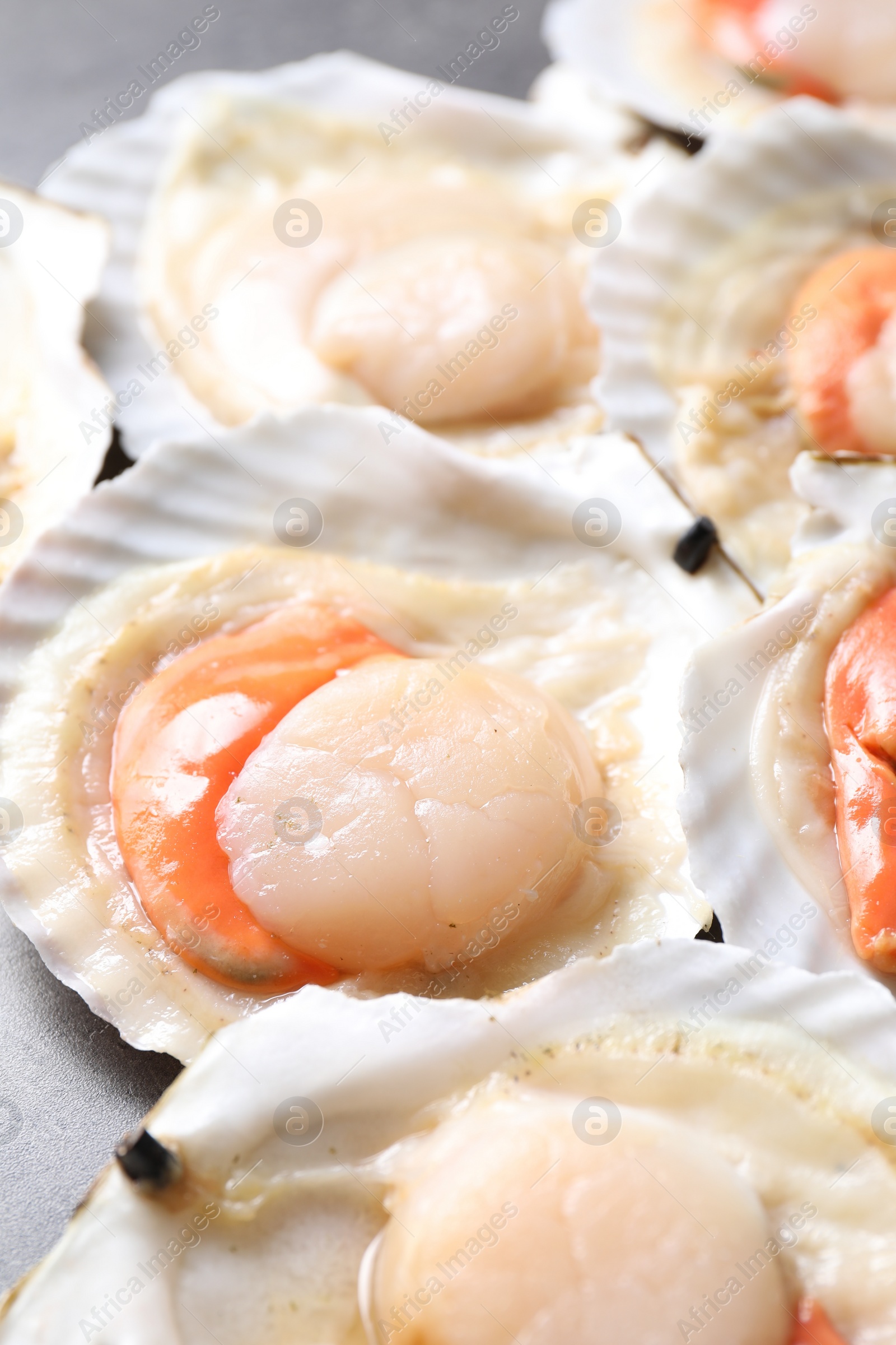 Photo of Fresh raw scallops in shells on table, closeup