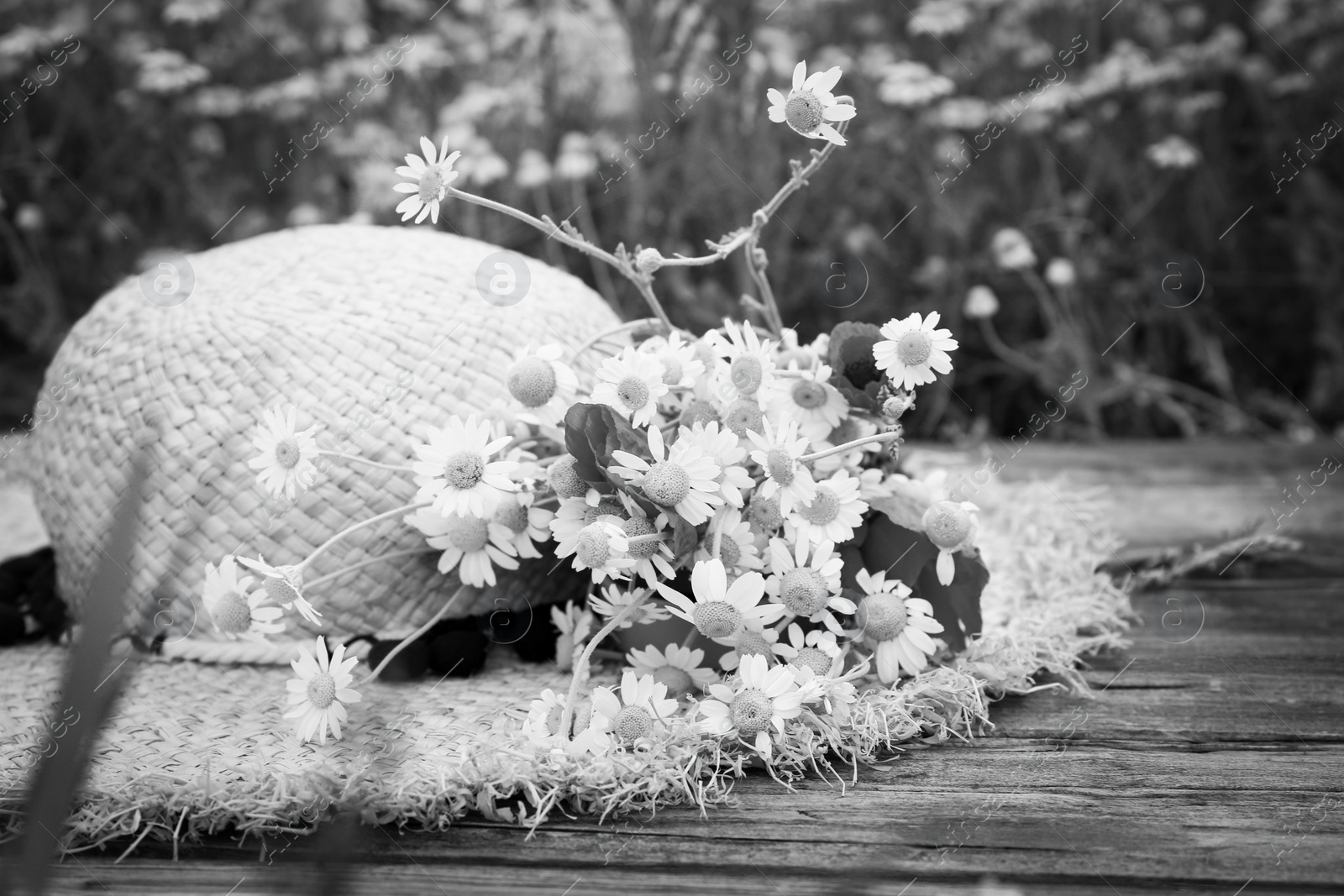 Image of Bouquet of wild flowers with straw hat on wooden surface outdoors. Black and white tone 