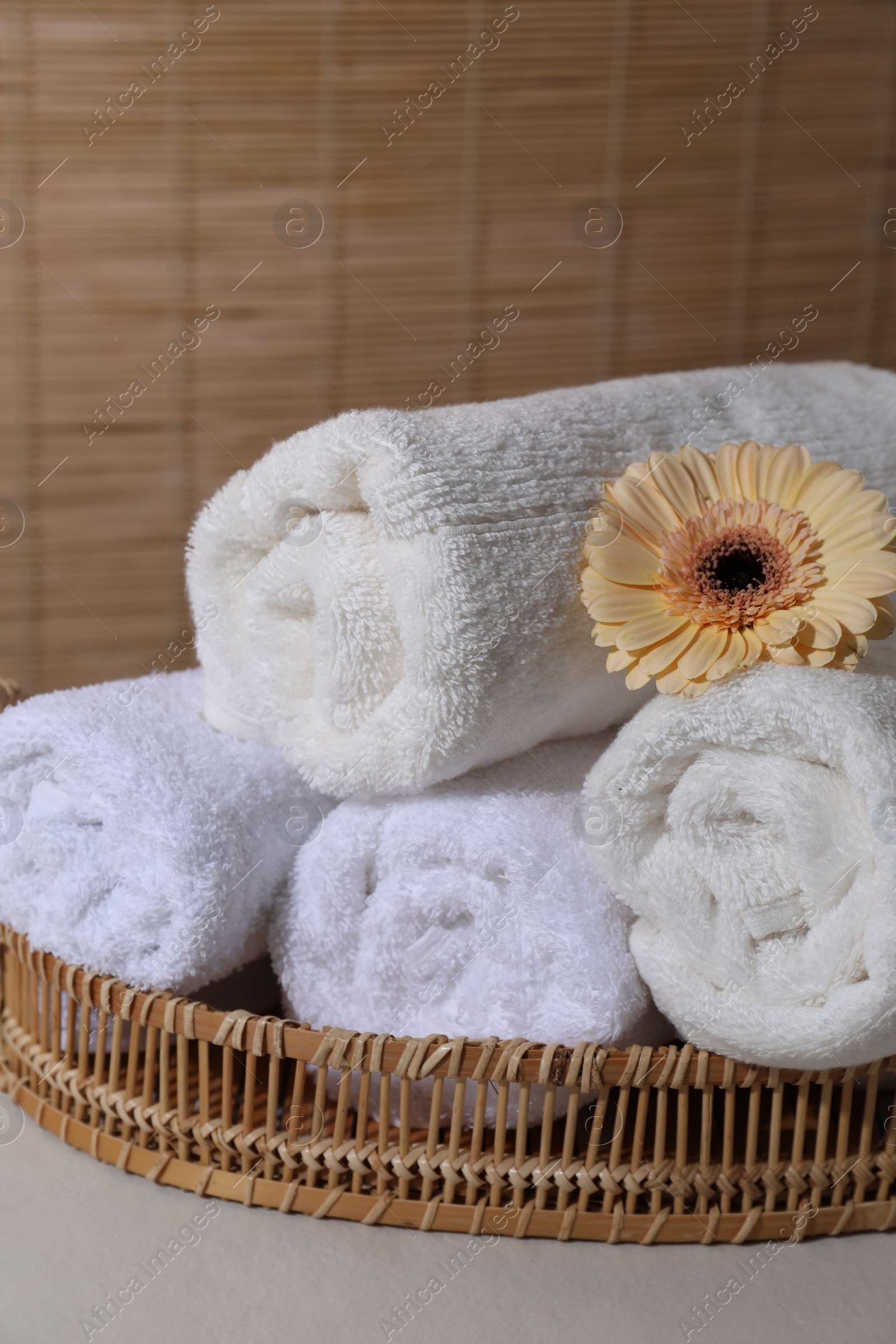 Photo of Rolled terry towels and flower on white table indoors