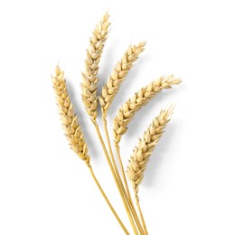 Photo of Ears of wheat on white background, top view