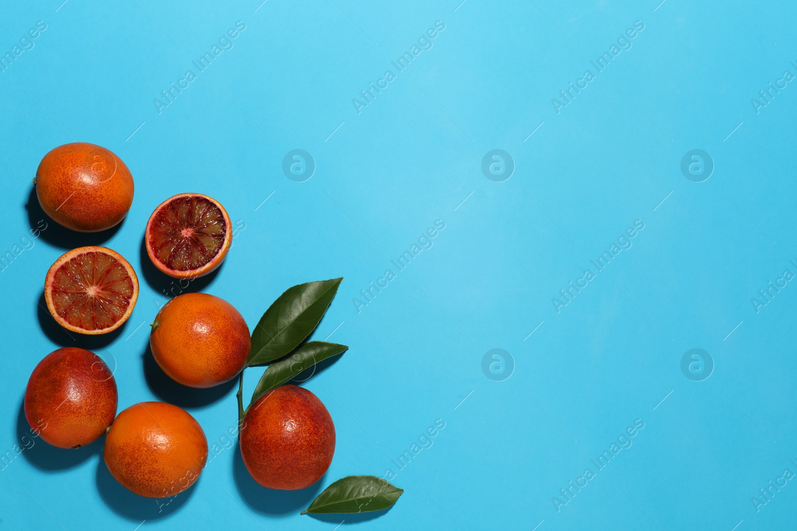 Photo of Many ripe sicilian oranges and leaves on light blue background, flat lay. Space for text