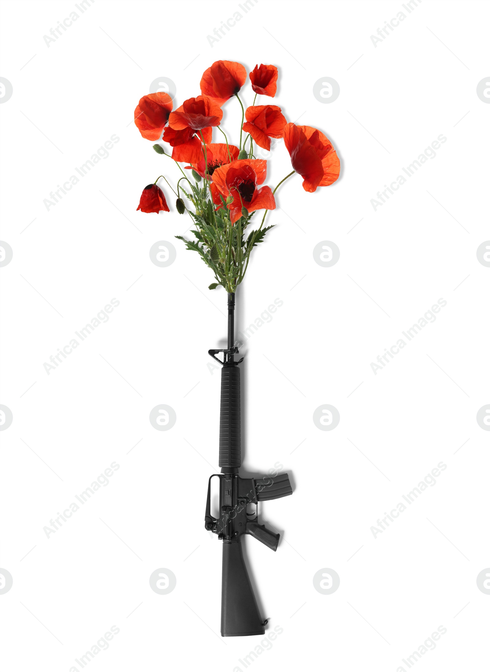 Image of Beautiful blooming poppy flowers and assault rifle on white background. Peace instead of war