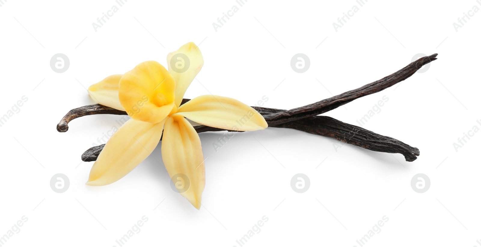 Photo of Aromatic vanilla sticks and flower on white background