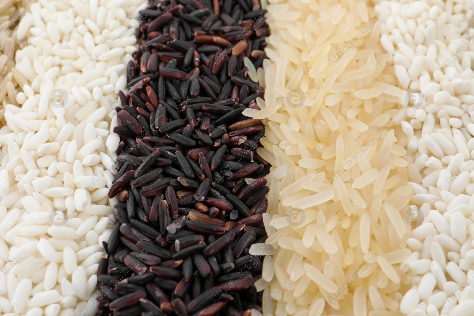 Photo of Different sorts of rice as background, closeup