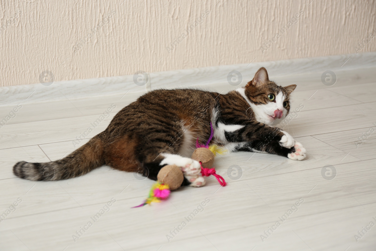 Photo of Cute cat playing with toy on floor at home. Lovely pet