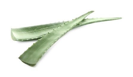 Photo of Green aloe vera leaves isolated on white