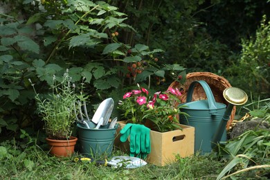 Photo of Beautiful flowers and gardening tools near blackberry bush at backyard