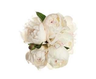 Photo of Bouquet of fresh peonies on white background, top view