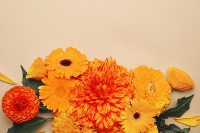 Image of Flat lay composition with beautiful orange flowers on beige background. Space for text