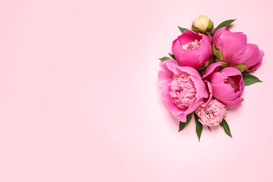 Photo of Beautiful fresh peonies on pink background, flat lay. Space for text