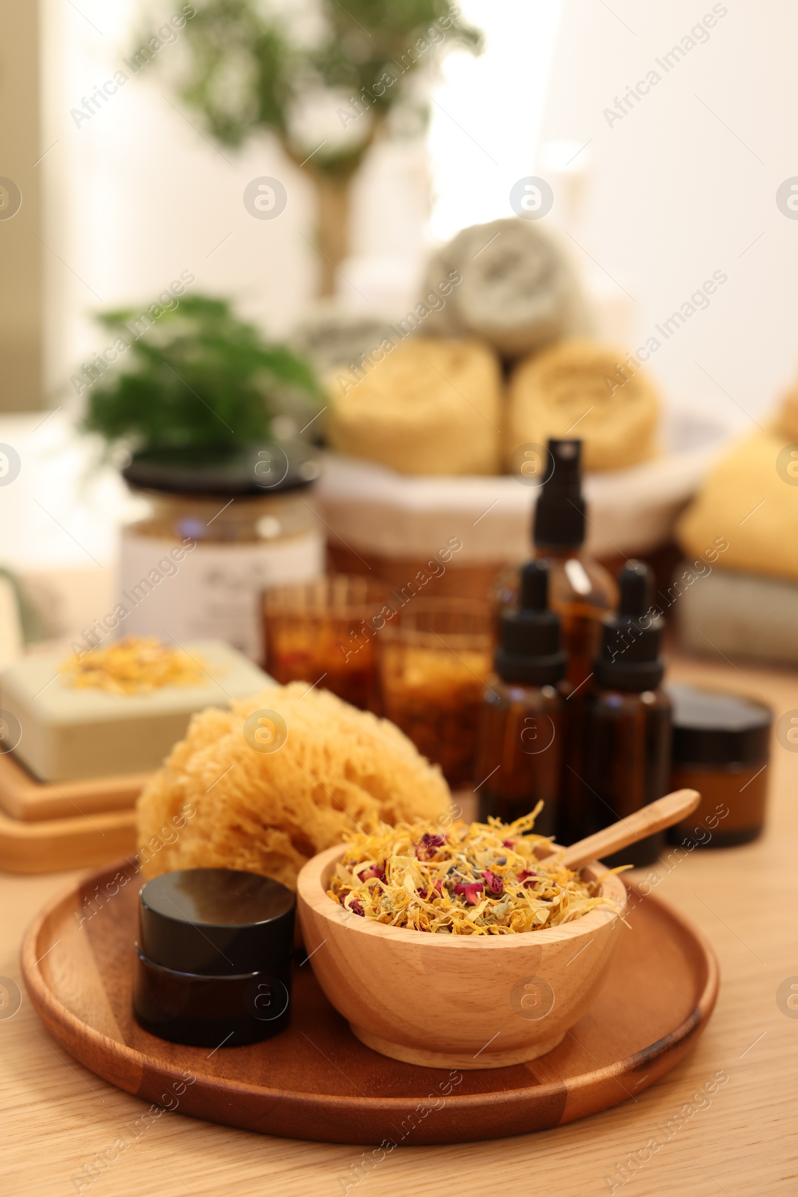 Photo of Dry flowers, loofah and jar of cream on wooden table, space for text. Spa time