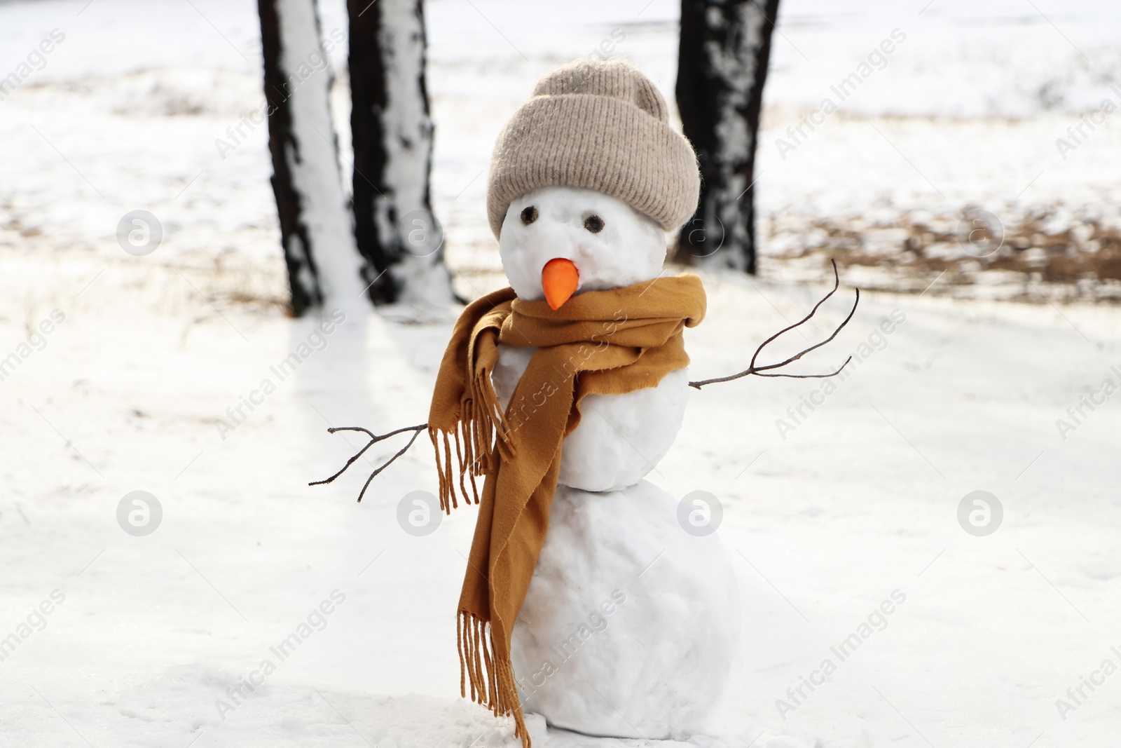 Photo of Funny snowman with scarf and hat in winter forest