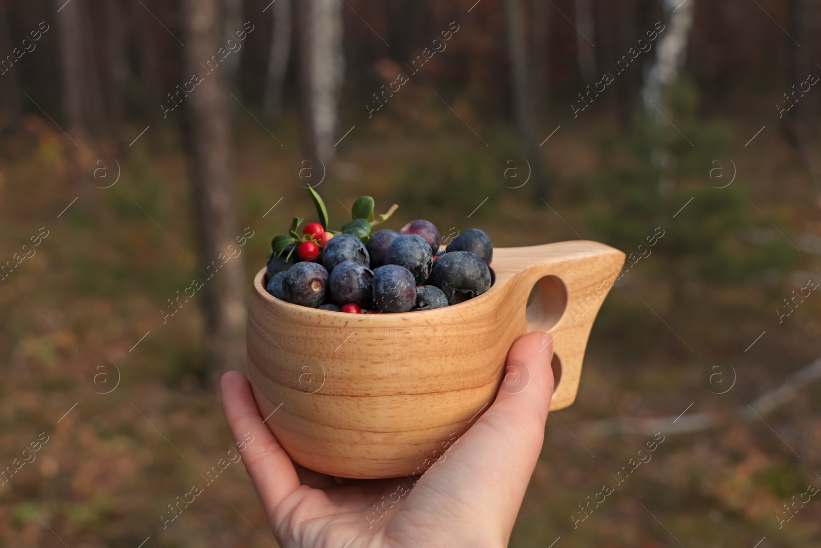 Photo of Woman holding wooden mug full of fresh ripe blueberries and lingonberries in forest, closeup