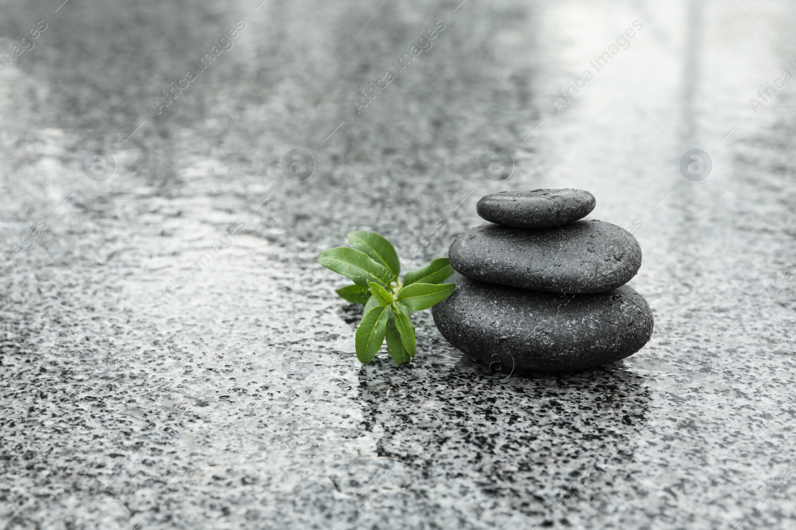 Photo of Stack of spa stones with green leaves on wet city street, space for text