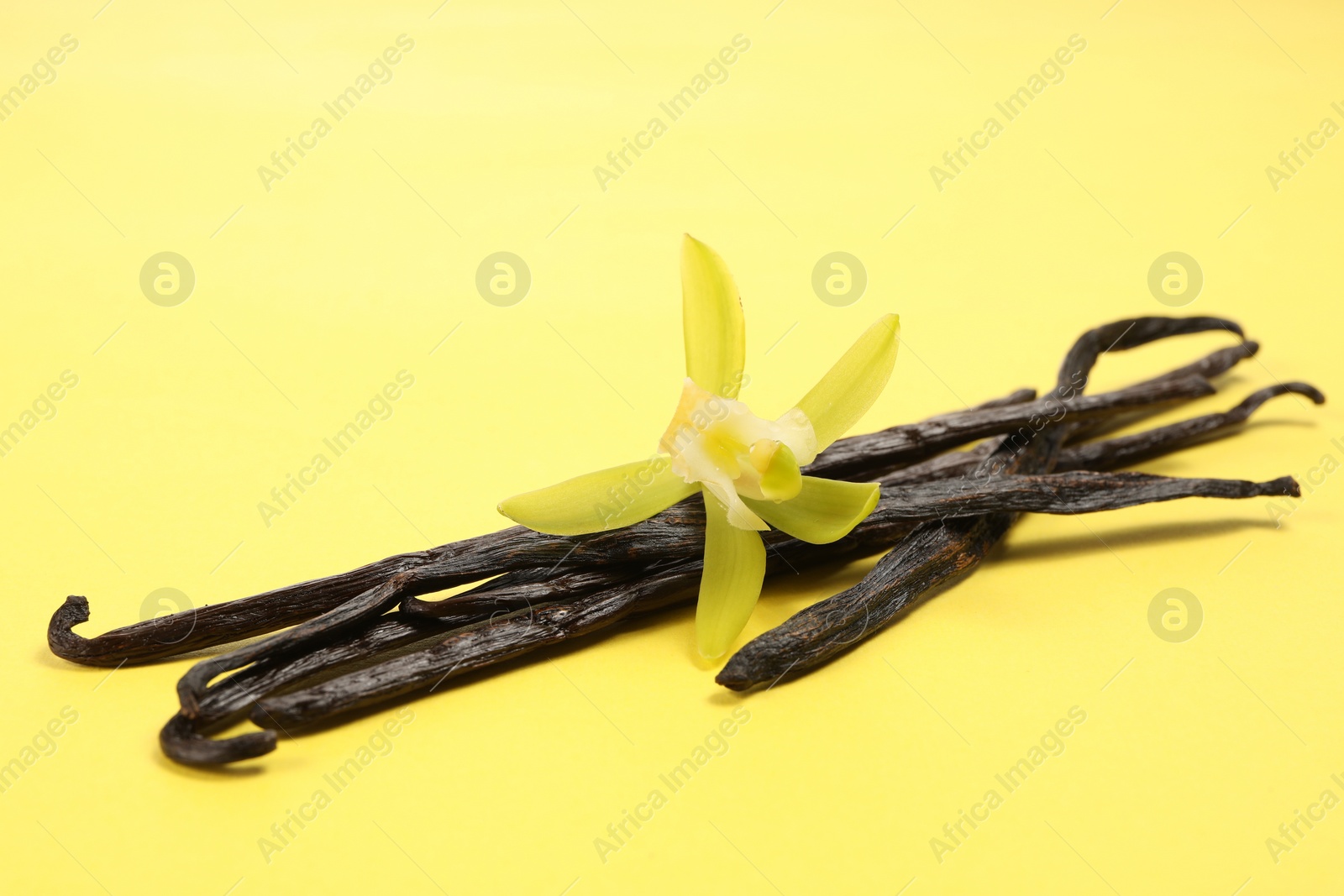 Photo of Vanilla pods and beautiful flower on yellow background. Space for text