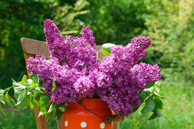 Photo of Beautiful lilac flowers in milk can outdoors