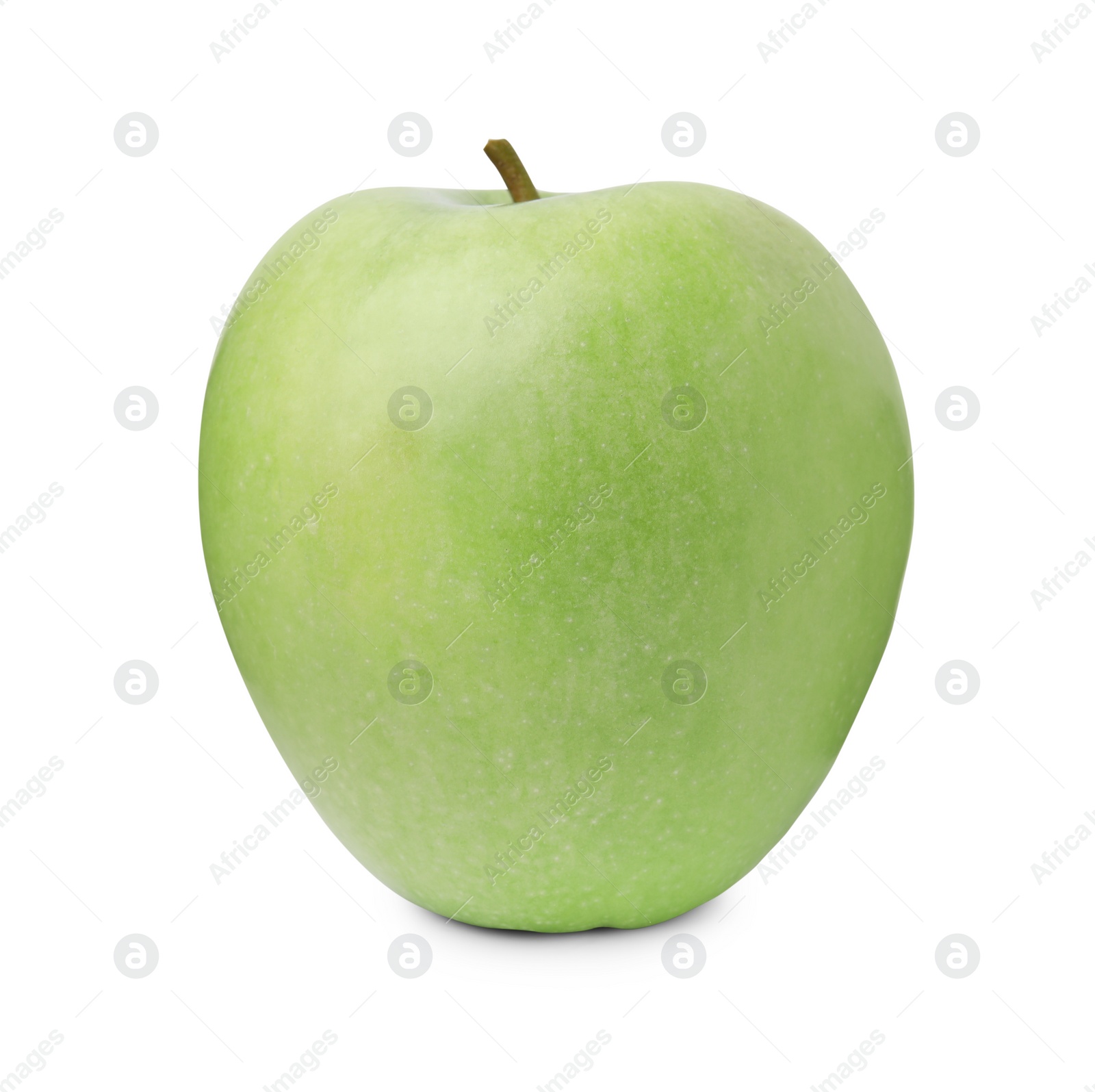 Photo of Whole ripe green apple isolated on white