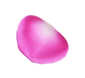 Pink rose flower petal on white background