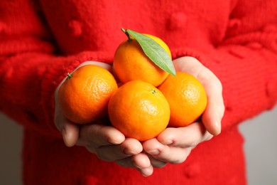 Photo of Woman in red pullover holding fresh tangerines, closeup