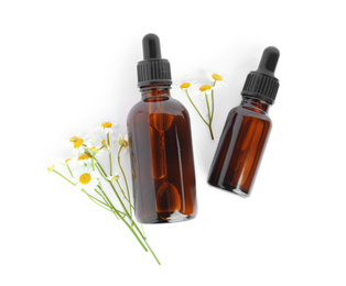 Bottles of essential oil and fresh chamomiles isolated on white, top view