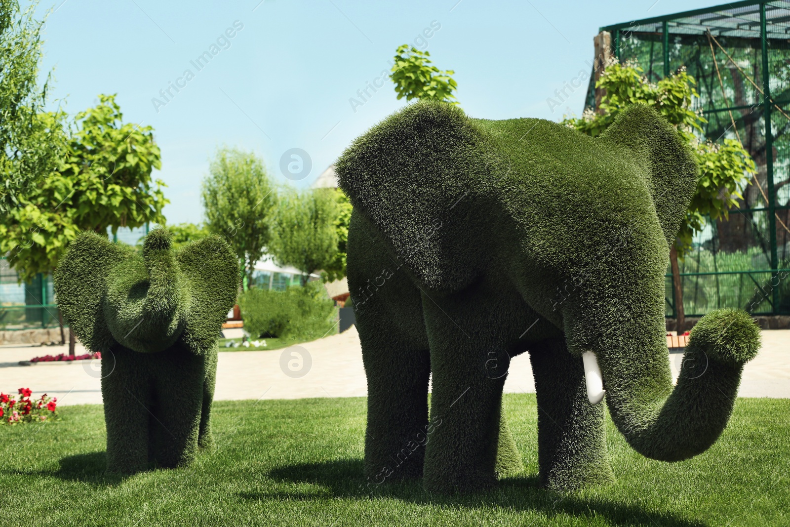 Photo of Beautiful elephant shaped topiaries at zoo on sunny day. Landscape gardening