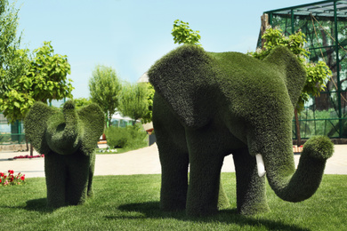 Beautiful elephant shaped topiaries at zoo on sunny day. Landscape gardening
