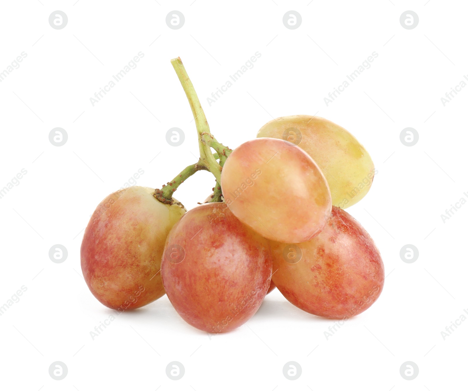 Photo of Fresh ripening red grapes isolated on white