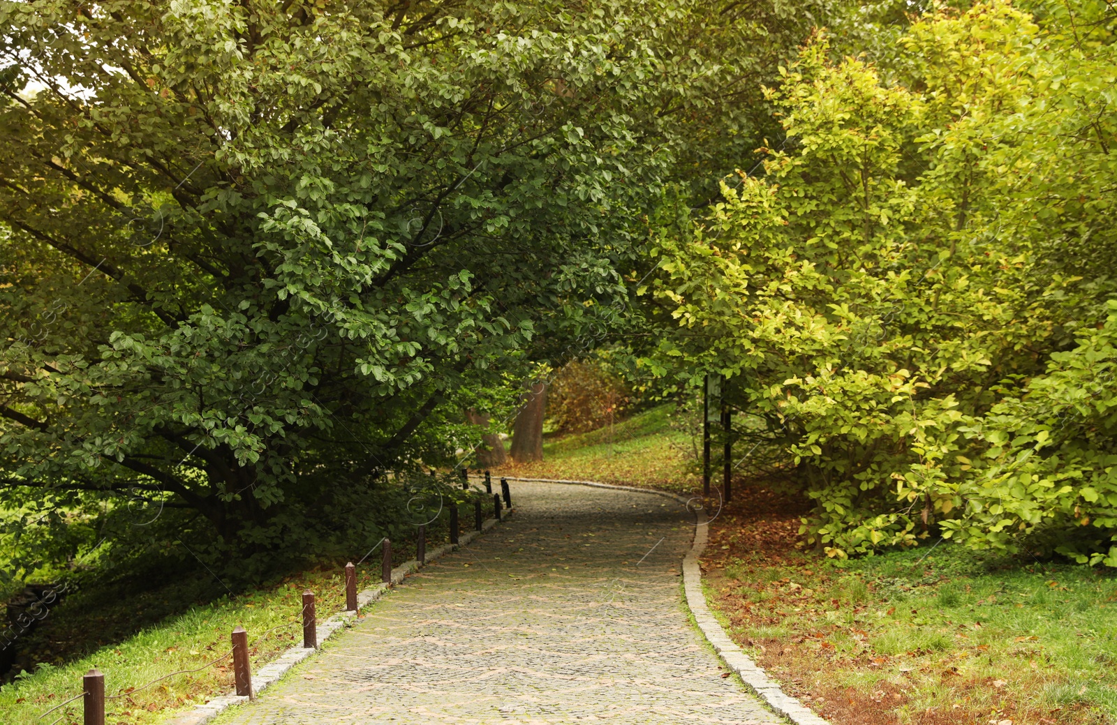 Photo of Beautiful view of park with trees on autumn day