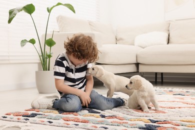 Photo of Little boy with cute puppies on carpet at home