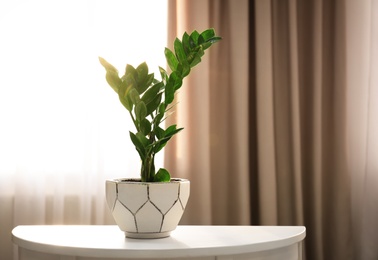Photo of Tropical plant on table against window indoors