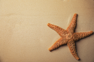 Photo of Beautiful starfish on sand, top view. Space for text