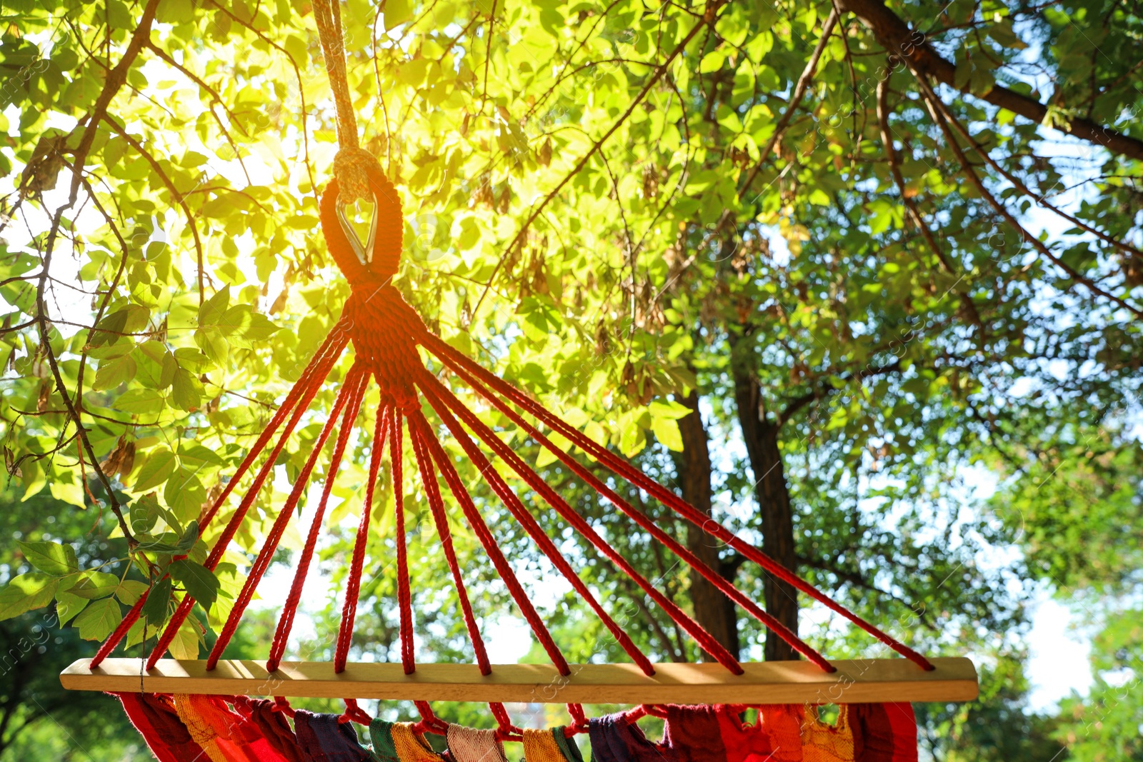 Photo of Bright comfortable hammock hanging in green garden, closeup