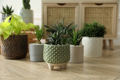 Photo of Many beautiful potted plants on floor indoors. Floral house decor
