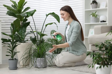 Photo of Beautiful young woman spraying green houseplants at home
