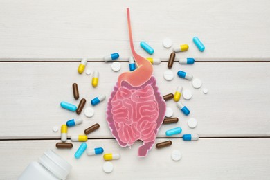 Paper intestine cutout and many different pills on white wooden background, flat lay