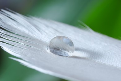 Macro photo of water drop on white feather against blurred background