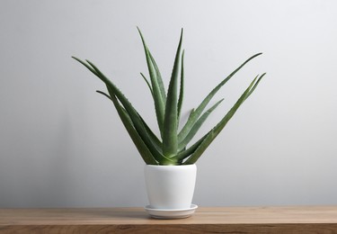 Photo of Green aloe vera in pot on wooden table near white wall