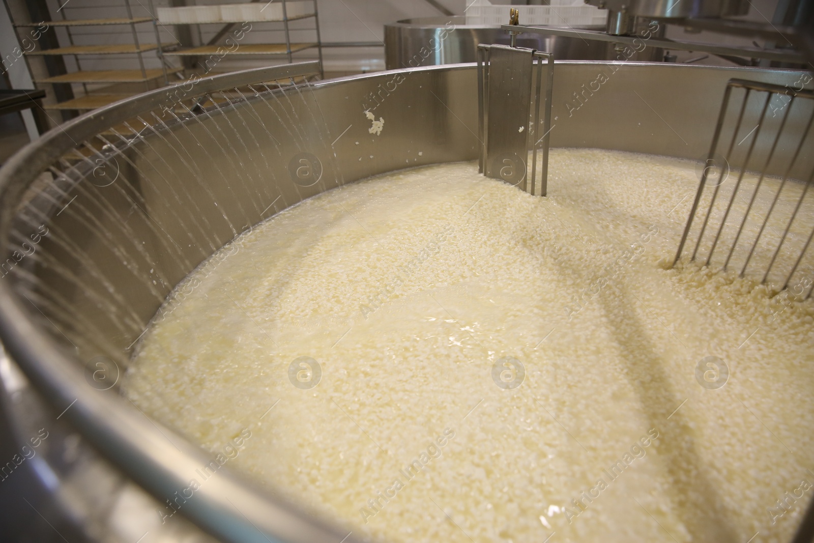 Photo of Adding water to curd and whey in tank at cheese factory