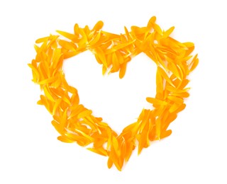 Photo of Heart shaped frame of beautiful calendula petals on white background, top view. Space for text