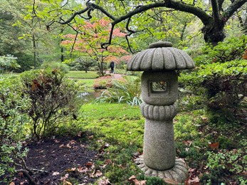 Photo of Stone lantern, bright moss and different plants in Japanese garden