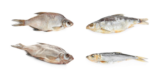 Image of Set of tasty dry fish on white background