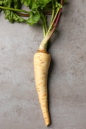 Fresh ripe parsnip on grey table, top view